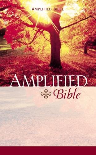 9780310951858: The Holy Bible: Amplified Version