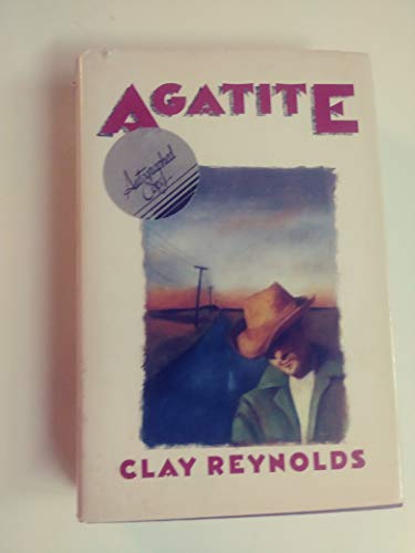 9780312011703: Agatite: A Novel