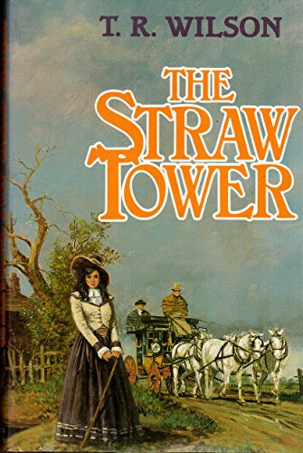 9780312059699: The Straw Tower