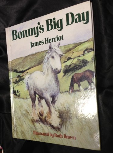 Stock image for Bonny's Big Day for sale by Jenson Books Inc