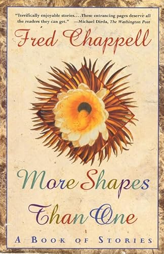 Stock image for More Shapes Than One: A Book of Stories for sale by Wonder Book