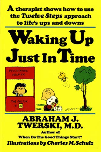 Stock image for Waking Up Just in Time: A Therapist Shows How to Use the Twelve Steps Approach to Life's Ups and Downs for sale by ThriftBooks-Atlanta