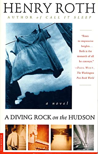 9780312140854: A Diving Rock on the Hudson: Mercy of a Rude Stream: 2