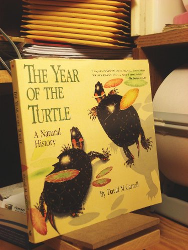 9780312147723: The Year of the Turtle: A Natural History