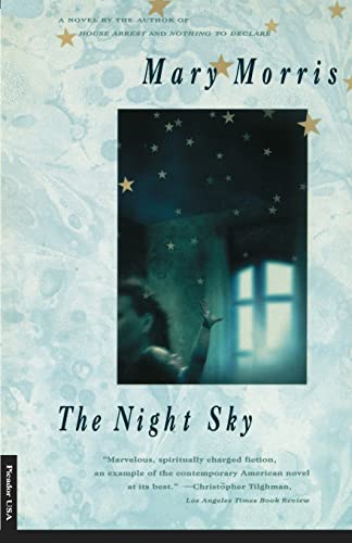 Beispielbild fr The Night Sky: A Novel zum Verkauf von Wonder Book