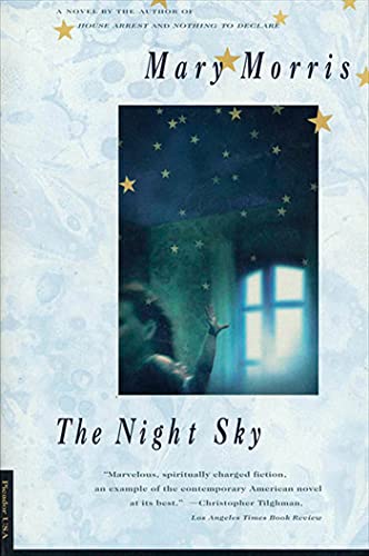 9780312156091: Night Sky: A Novel