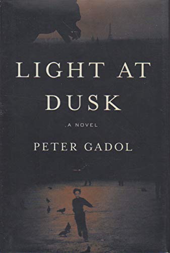 Beispielbild fr Light at Dusk: A Novel zum Verkauf von HPB Inc.