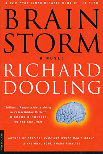 Imagen de archivo de Brain Storm: A Novel a la venta por Wonder Book