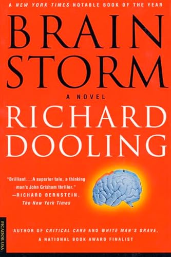 Stock image for Brain Storm: A Novel for sale by Wonder Book