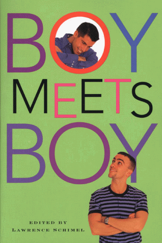 9780312206369: Boy Meets Boy