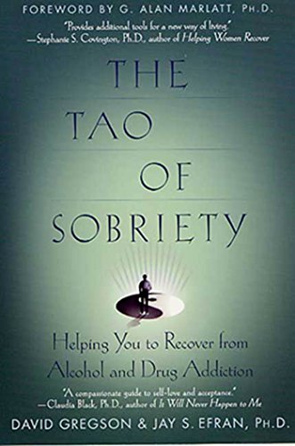 Imagen de archivo de The Tao Of Sobriety Helping You To Recover From Alcohol And Drug Addiction. a la venta por Black Cat Hill Books