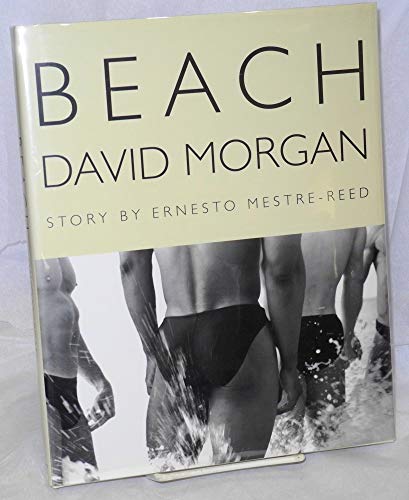 Imagen de archivo de Beach a la venta por Limestone Books