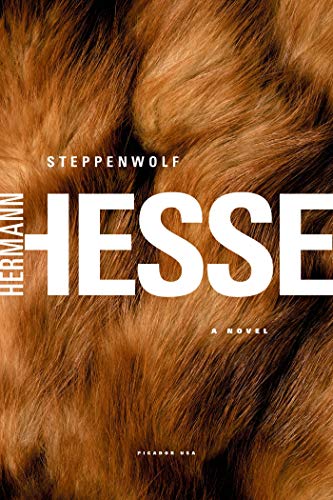Beispielbild für Steppenwolf zum Verkauf von WorldofBooks