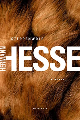 9780312278670: Steppenwolf