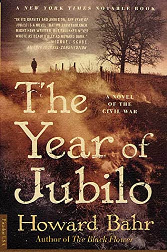 Stock image for The Year of Jubilo: A Novel of the Civil War for sale by Wonder Book