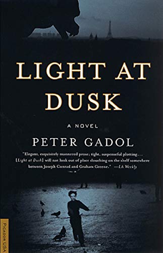 9780312280802: Light at Dusk: A Novel