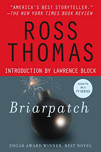 Briarpatch: A Novel (9780312290313) by Thomas, Ross