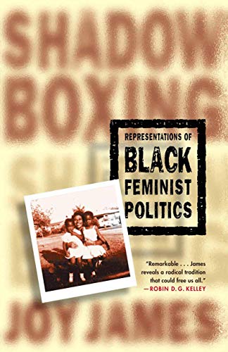 Stock image for Shadowboxing: Representations of Black Feminist Politics for sale by Chiron Media