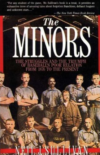 9780312302214: The Minors