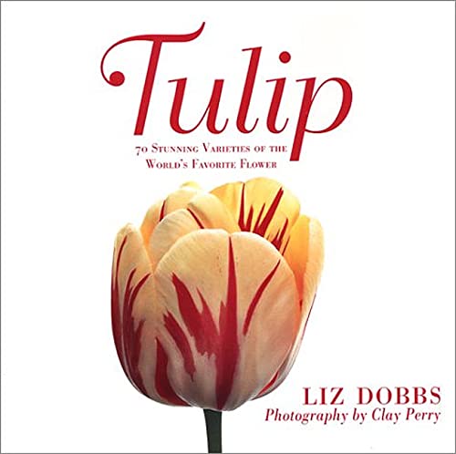 Tulip: 70 Stunning Varieties of the World's Favorite Flower - Liz Dobbs, Clay Perry (Photographer)