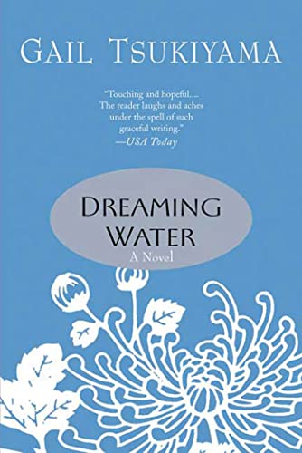 9780312316082: DREAMING WATER