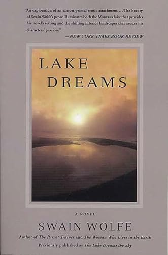 9780312317003: Lake Dreams: A Novel