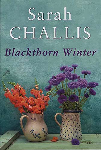 Beispielbild fr Blackthorn Winter zum Verkauf von BooksRun