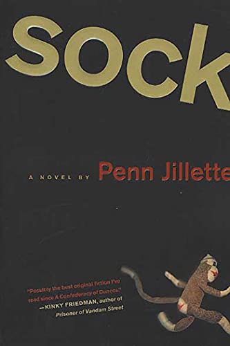 Stock image for Sock: A Novel for sale by THEVILLAGEBOOKSTORE