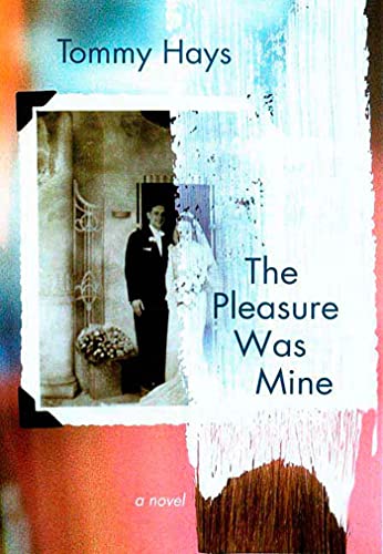 Beispielbild fr The Pleasure Was Mine: A Novel zum Verkauf von BooksRun