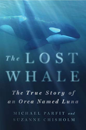 Beispielbild fr The Lost Whale : The True Story of an Orca Named Luna zum Verkauf von Better World Books