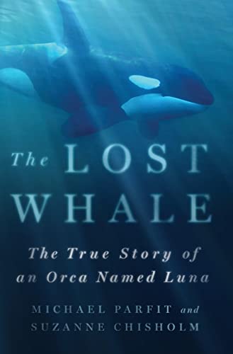 Imagen de archivo de The Lost Whale: The True Story of an Orca Named Luna a la venta por New Legacy Books