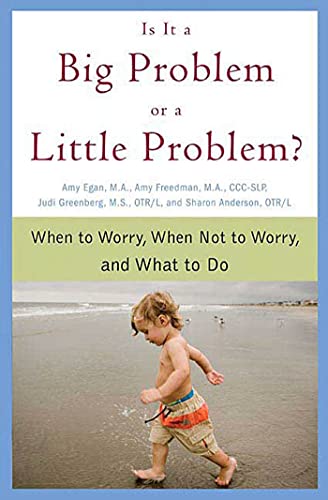 Imagen de archivo de Is It a Big Problem or a Little Problem?: When to Worry, When Not to Worry, and What to Do a la venta por Wonder Book
