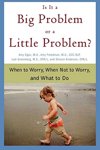 Stock image for Is It a Big Problem or a Little Problem?: When to Worry, When Not to Worry, and What to Do for sale by Wonder Book
