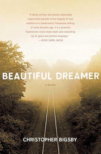 Stock image for Beautiful Dreamer for sale by ThriftBooks-Dallas