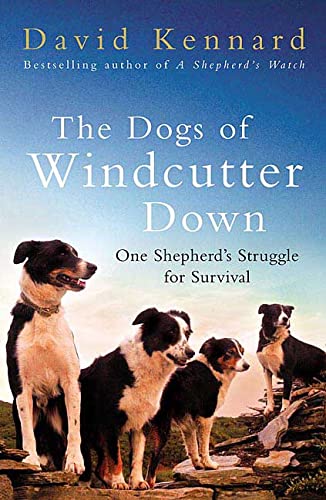 Stock image for The Dogs of Windcutter Down : One Shepherd's Struggle for Survival for sale by Better World Books