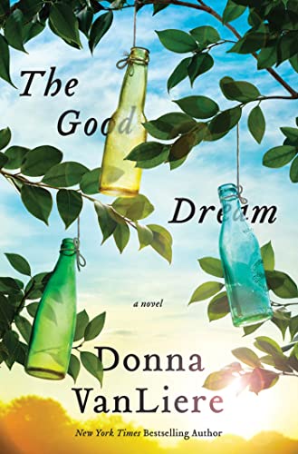 9780312367770: The Good Dream: A Novel