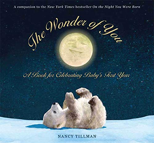 9780312368395: The Wonder of You: A Book for Celebrating Baby's First Year