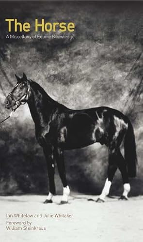 Stock image for The Horse : A Miscellany of Equine Knowledge for sale by Better World Books