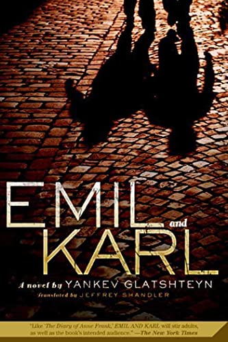 Beispielbild fr Emil and Karl: A Novel zum Verkauf von BooksRun