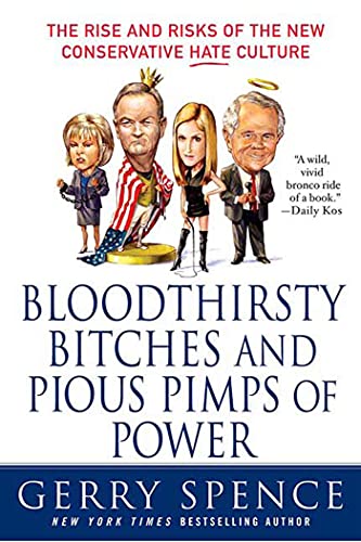 Imagen de archivo de Bloodthirsty Bitches and Pious Pimps of Power : The Rise and Risks of the New Conservative Hate Culture a la venta por Better World Books