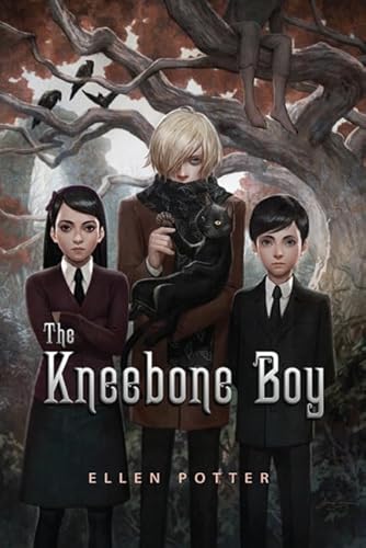 9780312377724: The Kneebone Boy