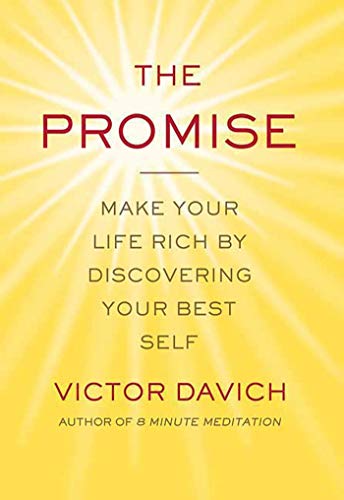 Imagen de archivo de The Promise: Make Your Life Rich by Discovering Your Best Self a la venta por St Vincent de Paul of Lane County
