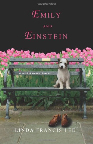 Stock image for Emily & Einstein: A Novel of Second Chances for sale by SecondSale