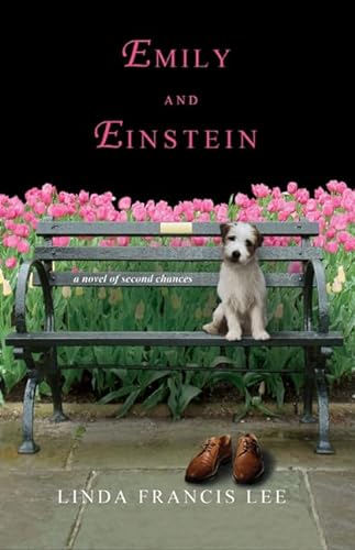9780312382186: Emily & Einstein: A Novel of Second Chances