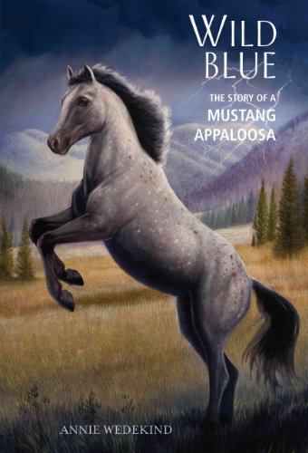 Imagen de archivo de Wild Blue : The Story of a Mustang Appaloosa a la venta por Better World Books