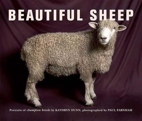 Imagen de archivo de Beautiful Sheep: Portraits of Champion Breeds a la venta por Revaluation Books