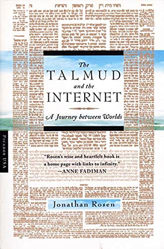 9780312420178: The Talmud and the Internet: A Journey Between Worlds