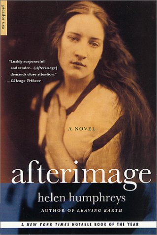 Imagen de archivo de Afterimage : A Novel a la venta por Better World Books