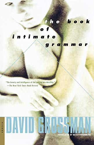 9780312420956: The Book of Intimate Grammar: A Novel