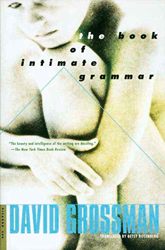 Stock image for The Book of Intimate Grammar: A Novel for sale by More Than Words
